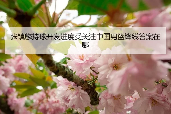 张镇麟持球开发进度受关注中国男篮锋线答案在哪